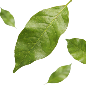 Sustentabilidade