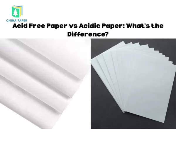 Papel Livre de Ácido vs Papel Ácido: Qual é a Diferença?