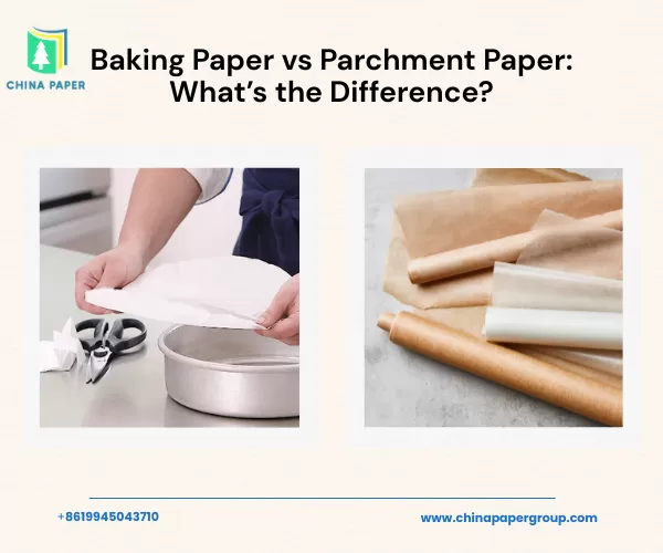 Papel Manteiga vs Papel Pergaminho: Qual é a Diferença?
