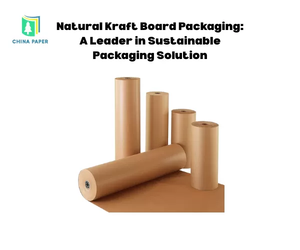 Embalagem de Papelão Kraft Natural: Líder em Solução de Embalagem Sustentável