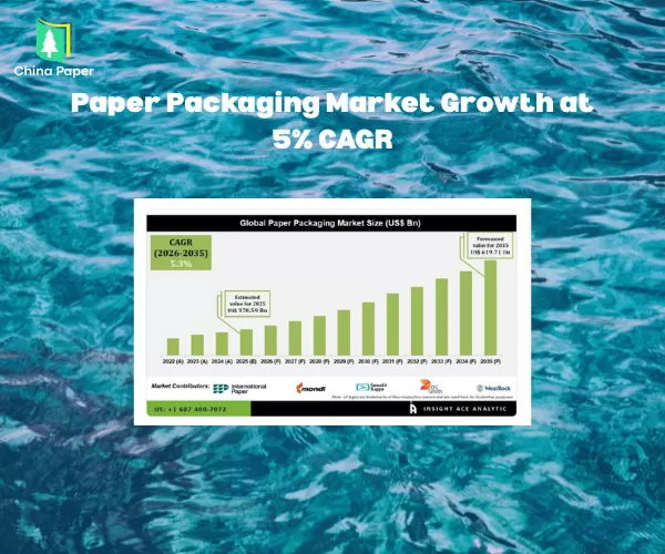 Crescimento do Mercado de Embalagens de Papel a 5% de CAGR