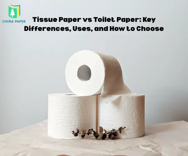 Papel Tissue vs Papel Higiênico: Principais Diferenças, Usos e Como Escolher