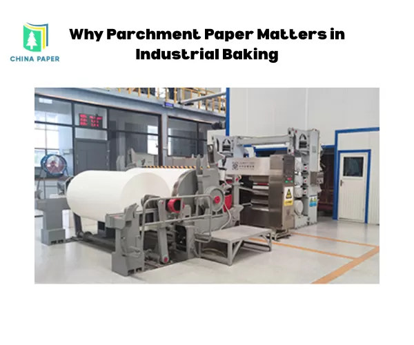 Por que o Papel Manteiga é Importante na Panificação Industrial