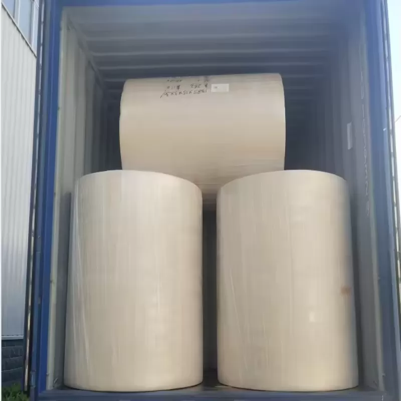 Papel Higiênico de Polpa de Bambu