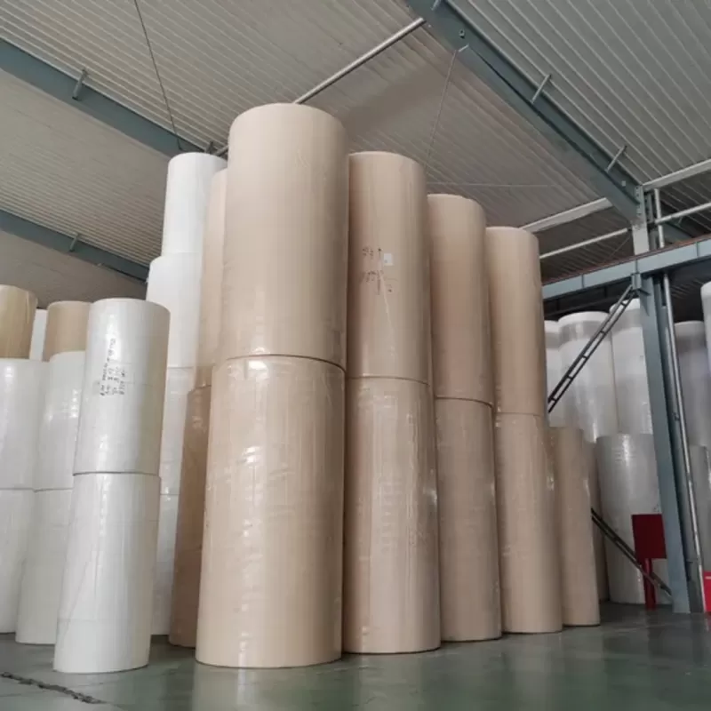 Papel Higiênico de Polpa de Bambu