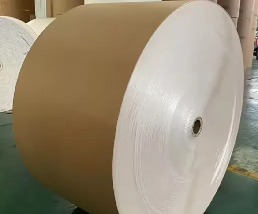Cartão Revestido com Verso Kraft (CKB)