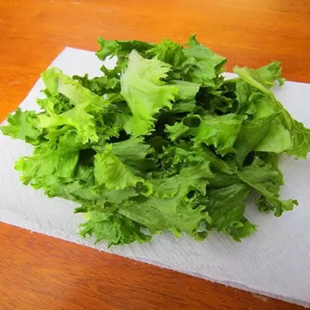 Culinária & Preparação de Alimentos