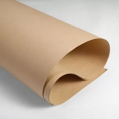 Kraftliner