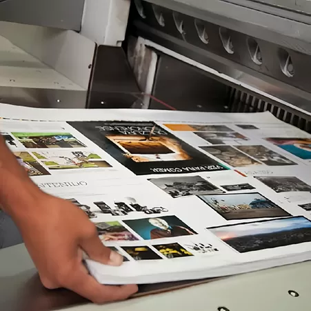 Publicações de Revistas