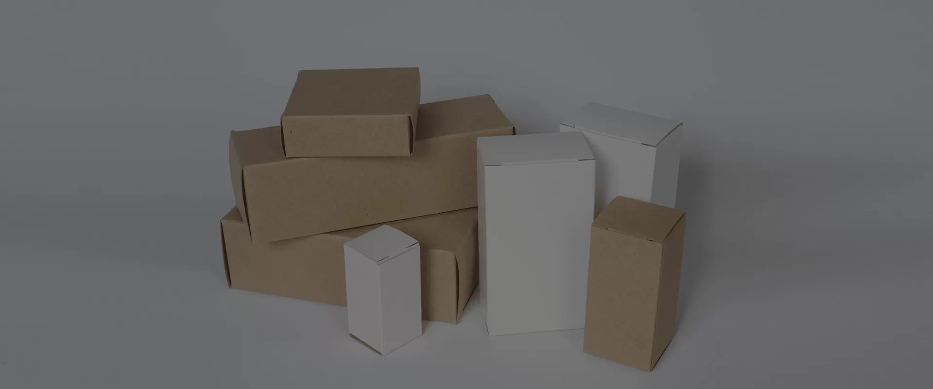 Cartão de Embalagem Premium | Papel da China