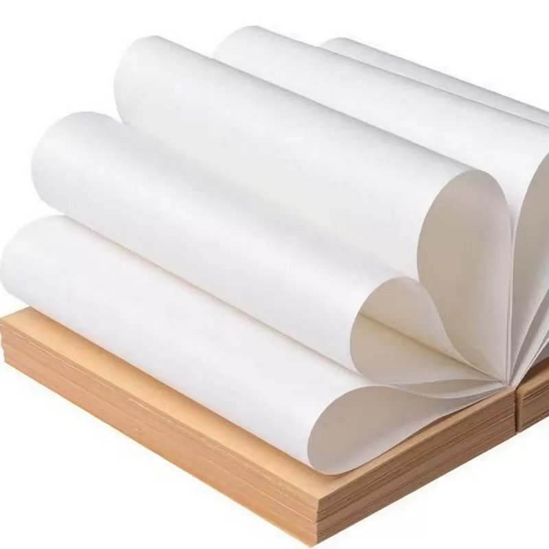 Papel MG revestido com PE