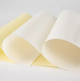 Papel Silicone