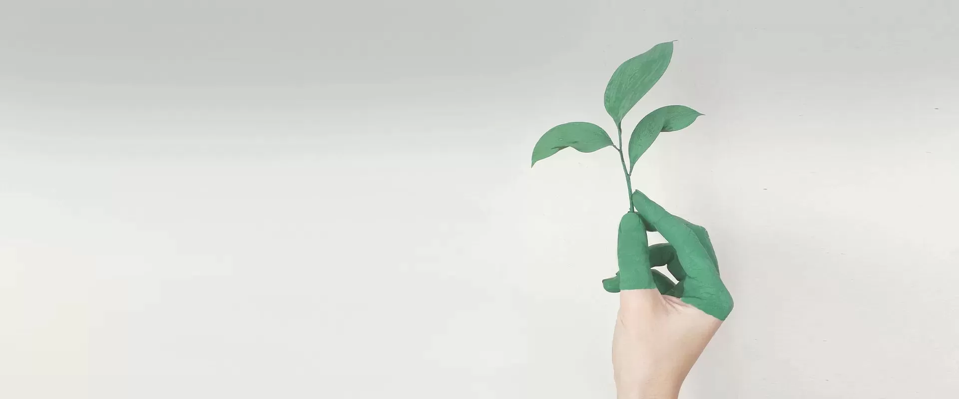 Sustentabilidade