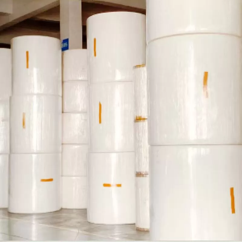 Papel Higiênico