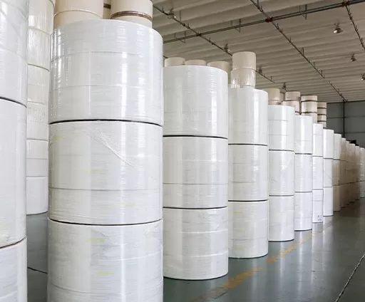 papel higiênico