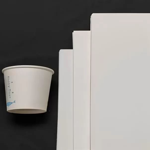 Papel Base Não Revestido para Copos